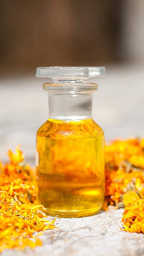 calendula oil and flowers