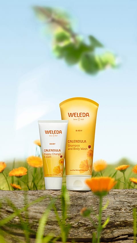 calendula products