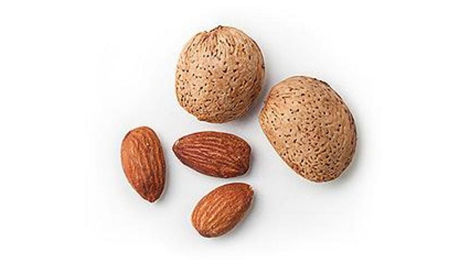Prunus Amygdalus Dulcis Oil