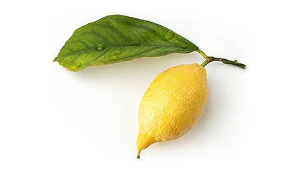 Citrus Medica Limonum Juice
