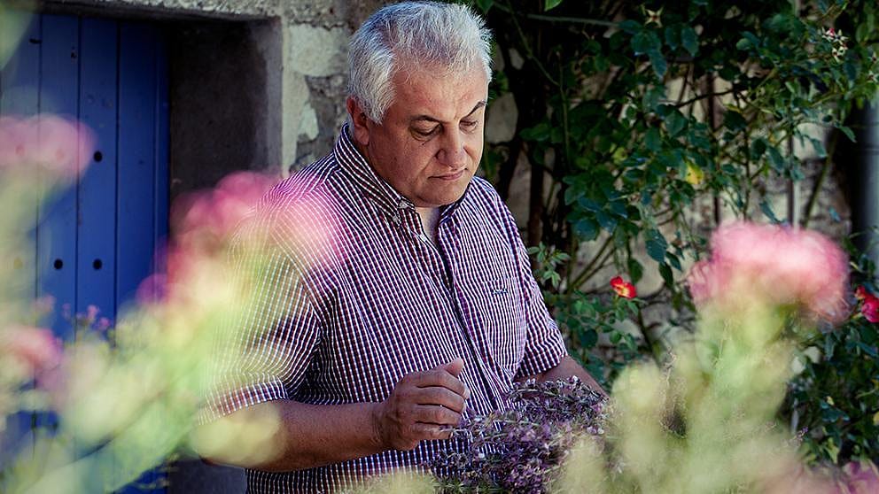 woman in lavender field